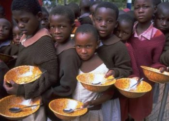 В ВТО опасаются, что война в Украине может спровоцировать голодные бунты в бедных странах