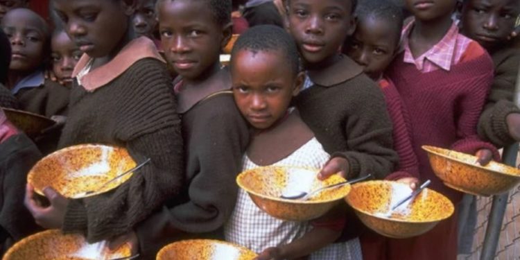 В ВТО опасаются, что война в Украине может спровоцировать голодные бунты в бедных странах