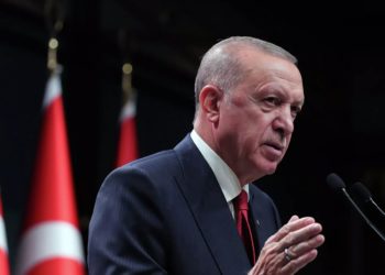 Эрдоган: Украина и РФ близки к консенсусу по 4 из 6 пунктов переговоров