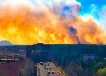 Пожары в Чернобыльской зоне: какой радиационный фон на Киевщине