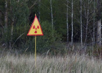 В ГСЧС Украины опровергли информацию о масштабных пожарах в Чернобыльской зоне