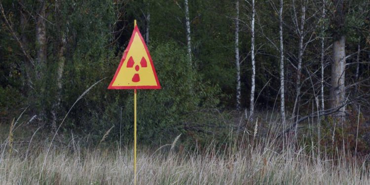 В ГСЧС Украины опровергли информацию о масштабных пожарах в Чернобыльской зоне