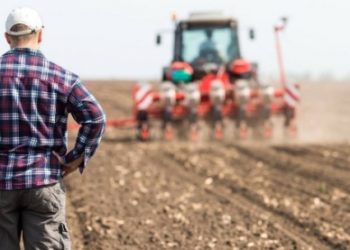 Au investit, au muncit, iar acum se tem că vor fi în pierdere. Mai mulți agricultori moldoveni și-au spus off-ul la o ședință comună a federației din domeniu | VIDEO