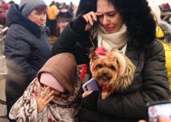 Офис президента Украины: Свыше 3 млн украинцев стали беженцами, до 12 млн — переселенцами