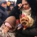Офис президента Украины: Свыше 3 млн украинцев стали беженцами, до 12 млн — переселенцами
