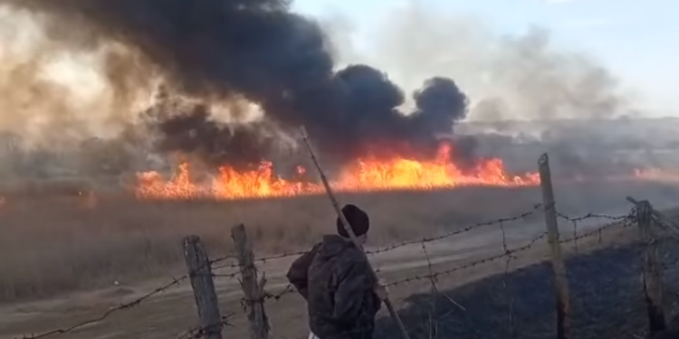 Incendiu în zona de frontieră: Zeci de hectare de pădure din Rezervația Naturală „Moara Domnească”, mistuite de flăcări | VIDEO