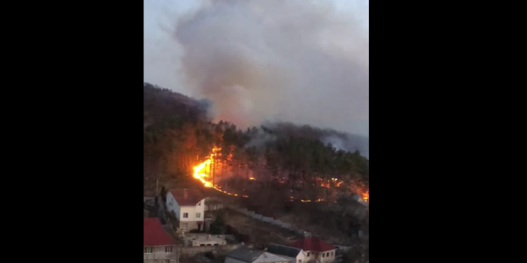 Arde un teren lângă Parcul Valea Morilor: Două echipe de pompieri luptă cu flăcările | VIDEO