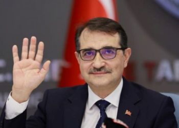 Турция не будет вводить санкции против России. Анкара выступает за дипломатию