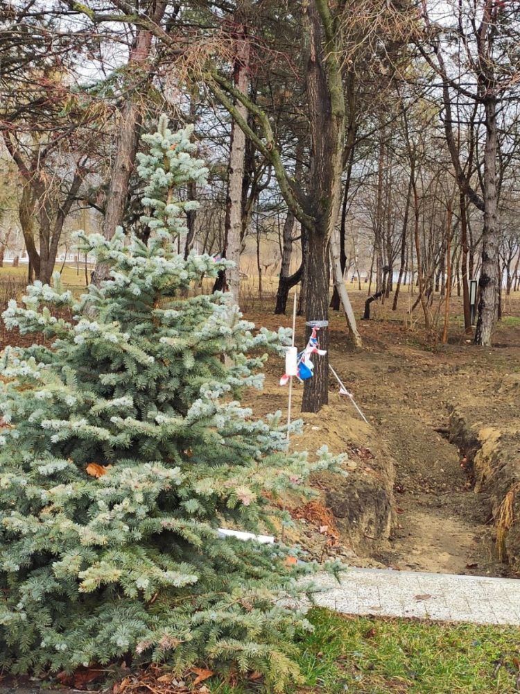 В парке столичного сектора Буюкань будет построен бювет, по инициативе советников от Партии «ШОР»