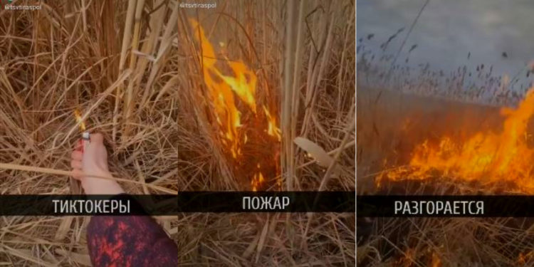 Strigător la cer! Au filmat cum dau foc unei câmpii și au pus imaginile video pe tik tok