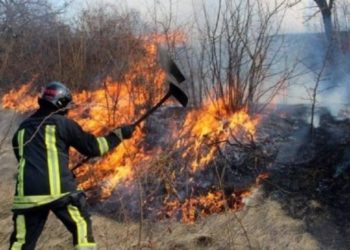 Amenzi de până la 50 de mii de lei și chiar privarea de libertate. Un grup de deputați propun pedepse mai dure pentru incendierea intenționată a vegetației | VIDEO