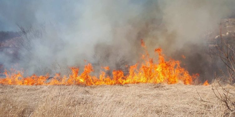 Incendiu la Hotar: Polițiștii de frontieră și pompierii au luptat cu focul