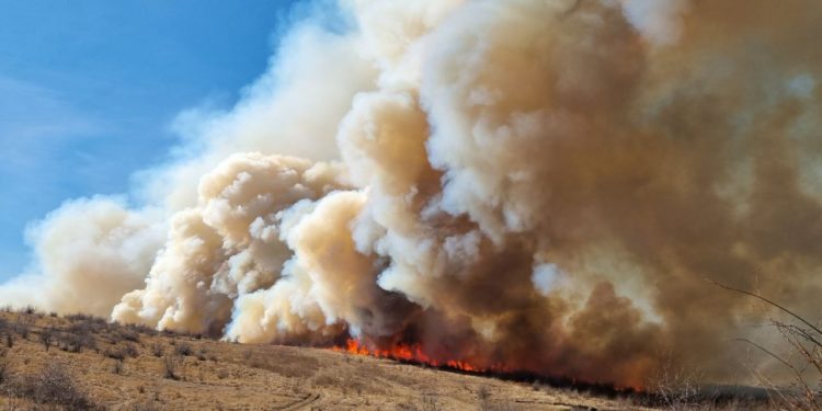 Incendiu de vegetație în sectorul Botanica al capitalei: 7 echipe de salvatori și pompieri, la fața locului