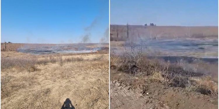 Un nou incendiu de vegetație a izbuncnit pe un câmp din Stăuceni. Trei echipe de pompieri au intervenit | VIDEO
