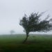 Meteorologii au emis cod galben de vânt puternic pe întreg teritoriul țării