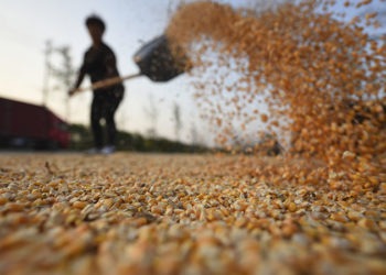 Мировые цены на продовольствие в феврале достигли рекордного уровня