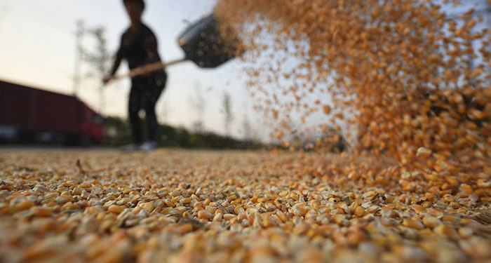 Мировые цены на продовольствие в феврале достигли рекордного уровня