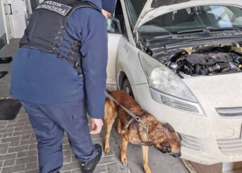 Țigări de contrabandă, camuflate într-un autoturismul unui român. Bărbatul a rămas și fără marfă și fără mașină | VIDEO