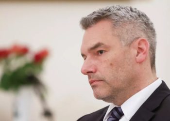 Канцлер Австрии после разговоров с Зеленским и Путиным все еще верит в переговоры между Украиной и РФ