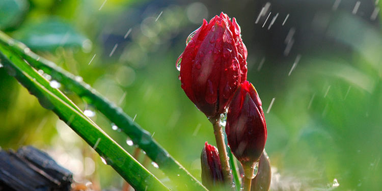 Синоптики рассказали о погоде на ближайшие дни