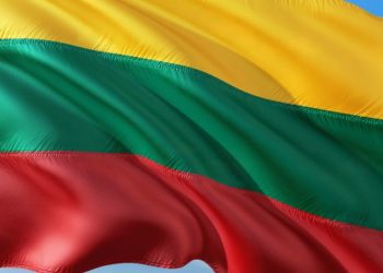 Литва передала Украине партию тяжелых минометов на десятки миллионов евро