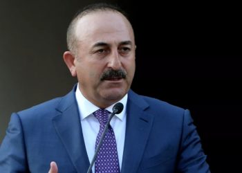 Турция готова стать гарантом для Украины, но с условием