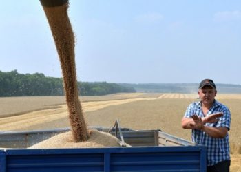 Мировые цены на продовольствие выросли до рекордного уровня из-за вторжения России в Украину