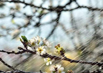 Из-за сильных осадков в Молдове объявлен желтый код метеоопасности