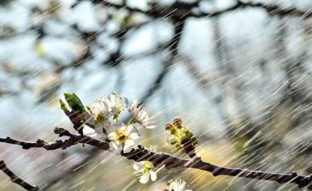 Из-за сильных осадков в Молдове объявлен желтый код метеоопасности