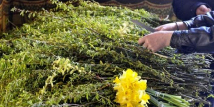 Creştinii ortodocşi sărbătoresc Duminica Floriilor. Ce obiceiuri se practică în această zi