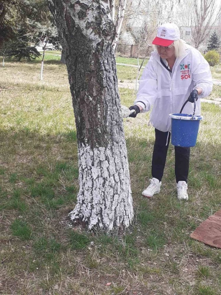 Partidul „ȘOR” continuă acțiunile de salubrizare de amploare la Chișinău și Orhei