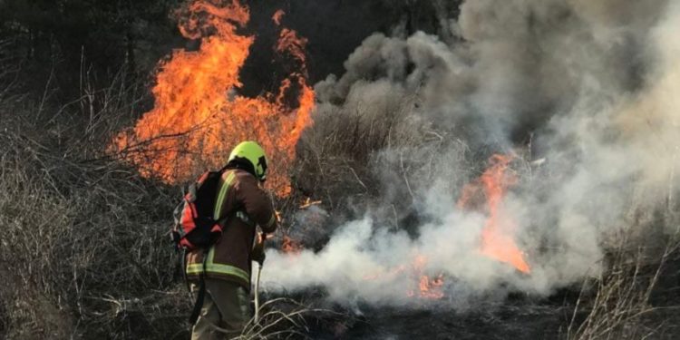 Legea, modificată: Până la 50 de mii de lei amendă pentru cei care incendiază intenționat pășunile și vegetația uscată