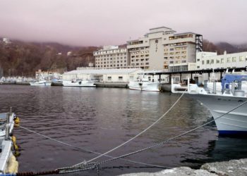 Число спасенных людей с пропавшего у берегов Японии круизного судна увеличилось до семи