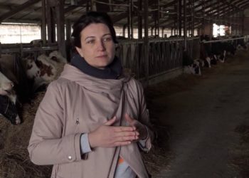 Moldova La Pachet | 18.04.2022