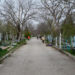 De Blajini, Primăria Chișinău va organiza rute speciale de transport către cimitirul Sfântul Lazăr