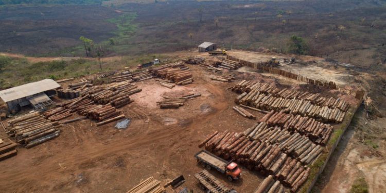 CNN: Suprafața de păduri tropicale distruse în 2021 este mai mare decât teritoriul Cubei