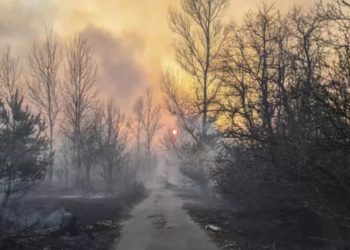 Облако дыма из Чернобыльской зоны движется в сторону Молдовы