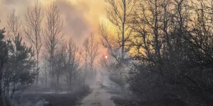 Облако дыма из Чернобыльской зоны движется в сторону Молдовы