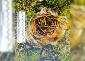 В приднестровском регионе в Днестре обнаружили боеприпасы, включая гранаты