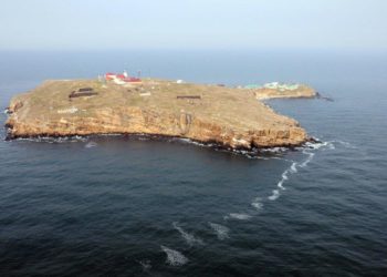 СМИ: У берегов Змеиного уничтожен еще один российский корабль