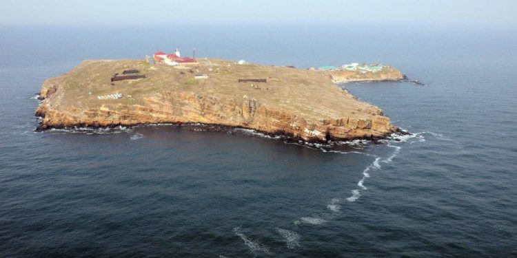 СМИ: У берегов Змеиного уничтожен еще один российский корабль