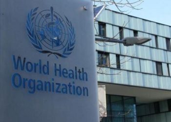 ВОЗ сообщила об увеличении числа случаев заболевания оспой обезьян в мире