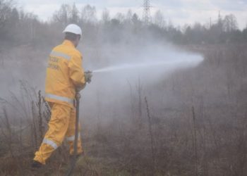 В Чернобыльской зоне тушат лесной пожар