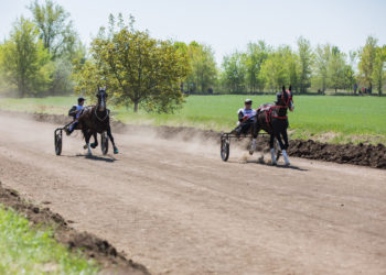 Curse de cai și iarmaroc tradițional: Cum a fost sărbătorit „Hederlez”, unul din principalele evenimente din Găgăuzia, ce simbolizează începutul sezonului agricol | VIDEO