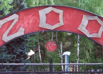 Gradina Zoologica din Chișinău s-a îmbogățit cu pui de păsări și animale, care s-au născut recent | VIDEO