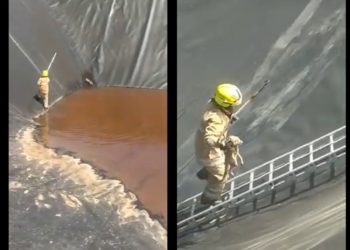 Operațiune neobișnuită, la Ungheni: Pompierii au salvat două vulpi din apă