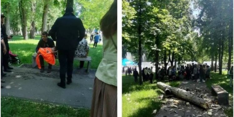 O creangă imensă s-a prăbușit peste un copil de 2 ani, în Parcul Alunelul: Minorul, dus la spital