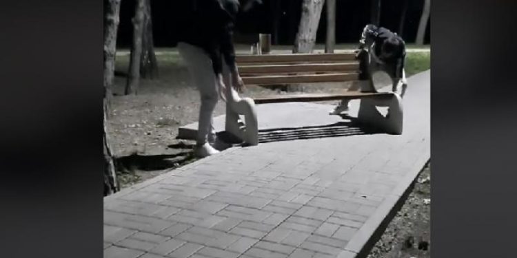 „Trage-l, că mă doare spatele!” Mai mulți tineri s-au filmat cum distrug o bancă într-un parc și se amuză | VIDEO