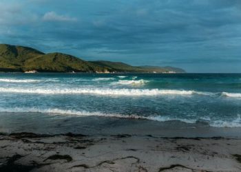 Раскрыты подробности запуска баллистической ракеты КНДР в сторону Японского моря