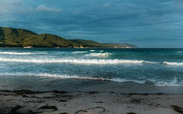 Раскрыты подробности запуска баллистической ракеты КНДР в сторону Японского моря